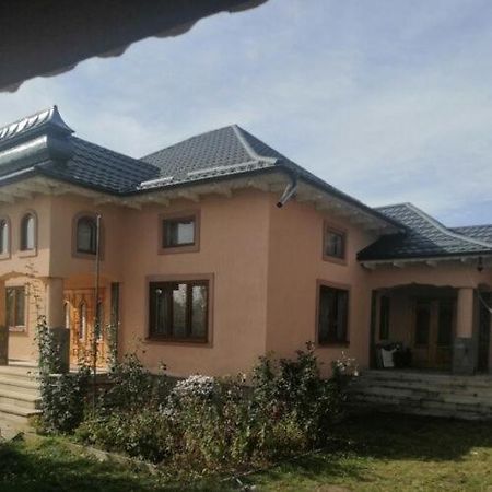 Casa Ilea -Agapia别墅 外观 照片