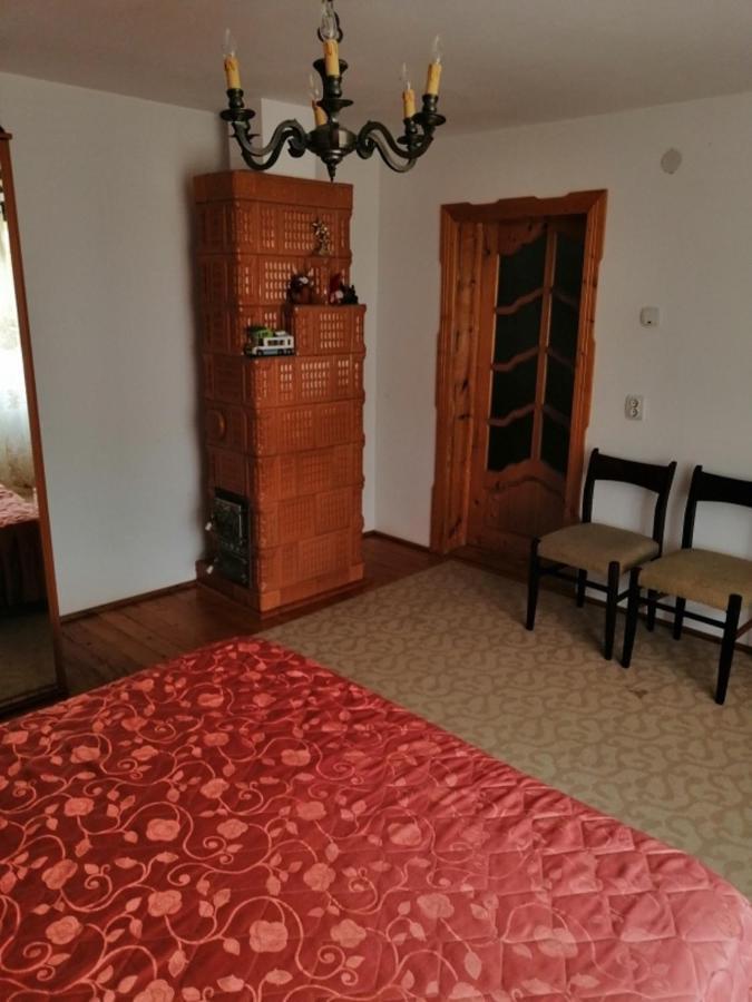 Casa Ilea -Agapia别墅 外观 照片