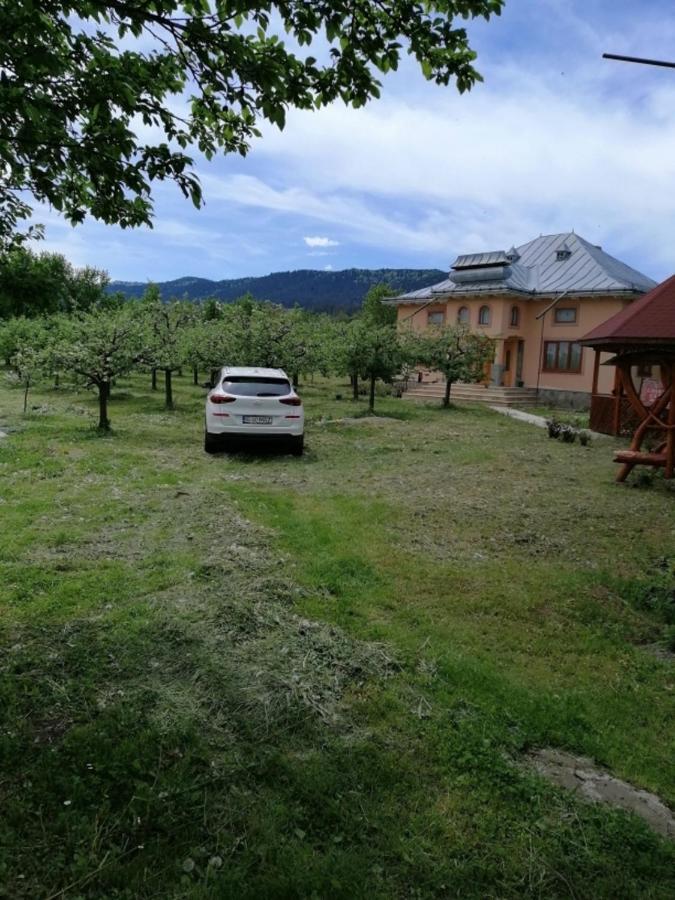 Casa Ilea -Agapia别墅 外观 照片