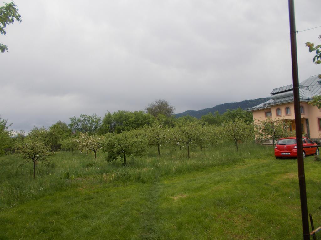 Casa Ilea -Agapia别墅 外观 照片